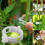 Professionele Plantenclips (50 of 100 Stuks)