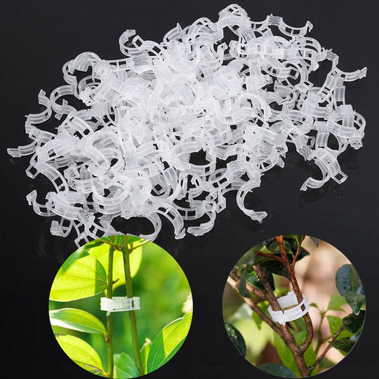Professionele Plantenclips (50 of 100 Stuks)