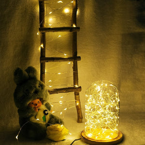 Flexibel Lichtsnoer 'Warm Licht' (Leuk voor Buiten & Binnen!)