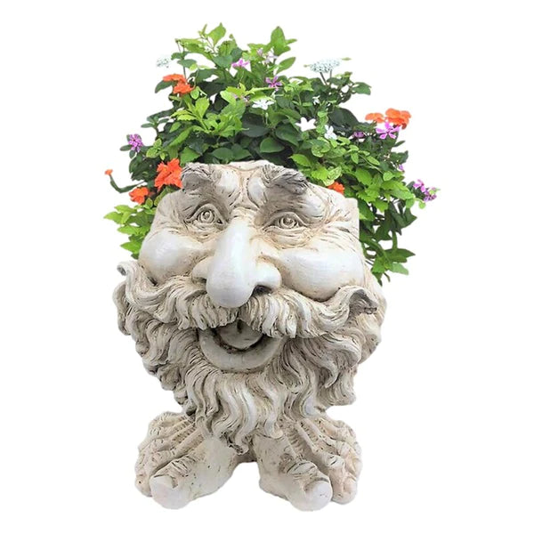 Gezicht Plantenpot