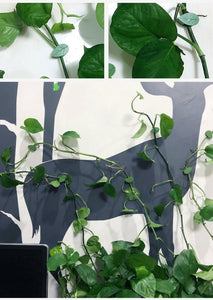 Blader Clips (10 Stuks!) - Ideaal voor klimplanten en kabels!