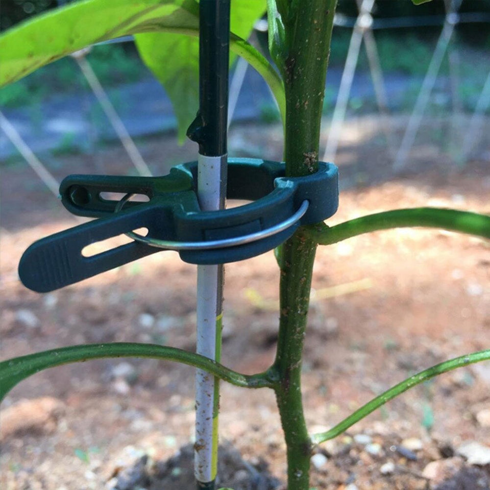 Plantenclips (20 Stuks!) - Zorg ervoor dat je bomen en planten perfect recht groeien!
