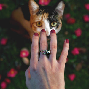 Katten Ring 'Cute Cats Deluxe™'