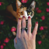 Katten Ring 'Cute Cats Deluxe™'