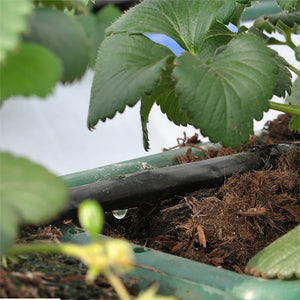 Complete Tuin Besproeiing Set 'Pro'