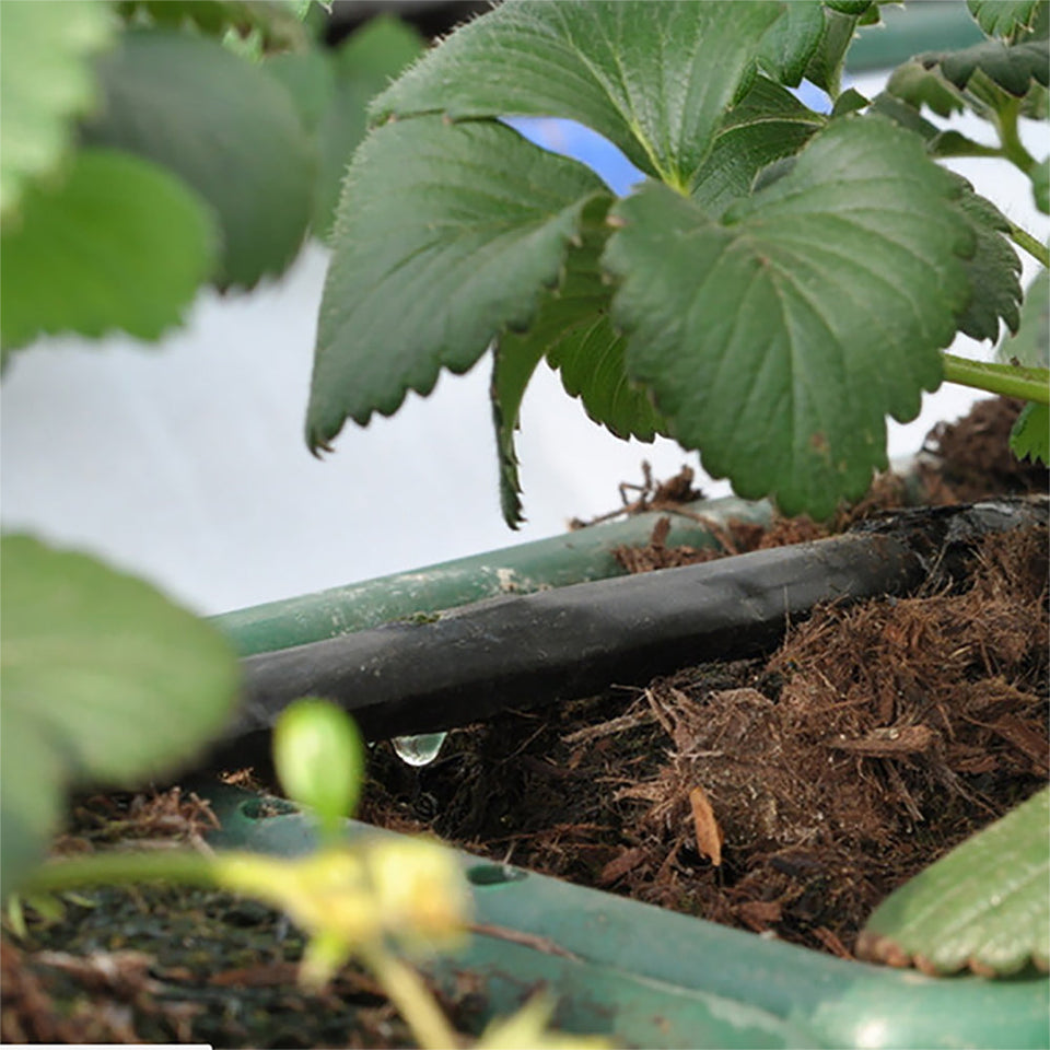 Complete Tuin Besproeiing Set 'Pro'