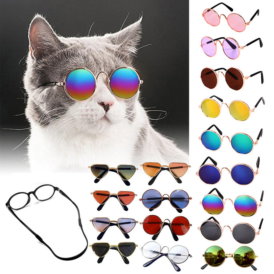 Stoere Honden & Katten Zonnebril