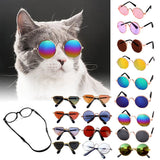 Stoere Honden & Katten Zonnebril