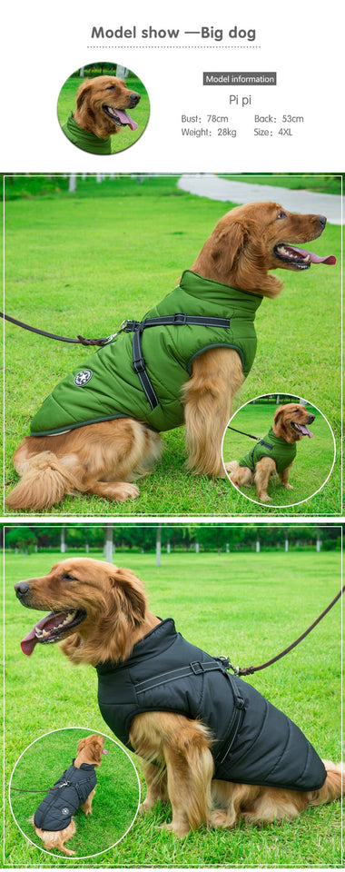 'Fashion Sports™' Hondenjas - Comfortabel naar Buiten in de Winter!