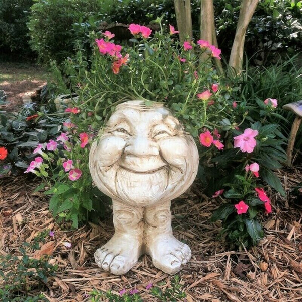 Gezicht Plantenpot
