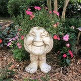 Gezicht Plantenpot