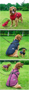 'Fashion Sports™' Hondenjas - Comfortabel naar Buiten in de Winter!