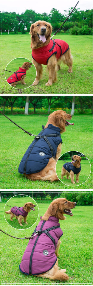 'Fashion Sports™' Hondenjas - Comfortabel naar Buiten in de Winter!