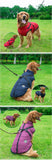 'Fashion Sports™' Hondenjas - Comfortabel naar Buiten in de Winter!