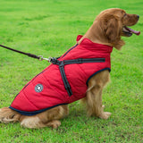 'Fashion Sports™' Hondenjas - Comfortabel naar Buiten in de Winter!