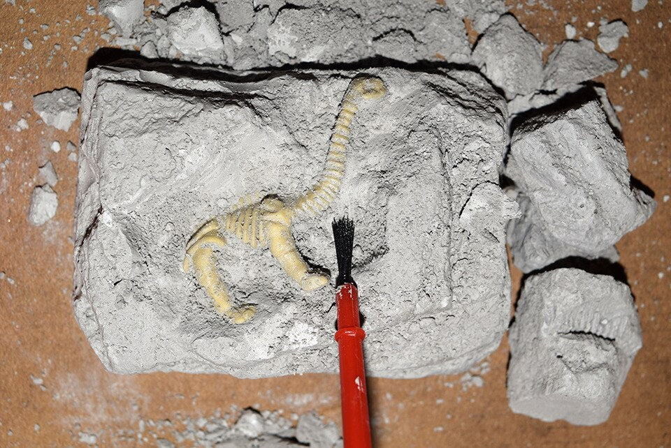 Archeologie Set - Een fantastisch kado voor ieder kind!