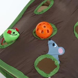 Katten Spel Tentje
