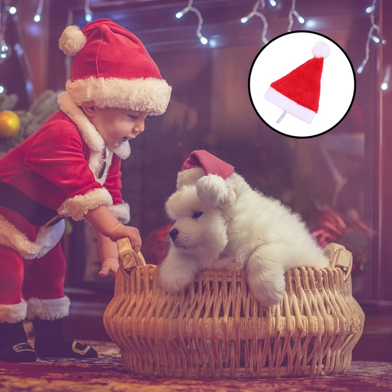 Schattige Honden Kerstmuts