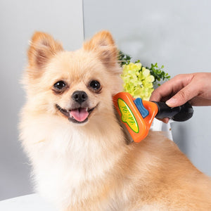 (Onder)Haar Dieren Kam - Voor minder Haren in Huis!