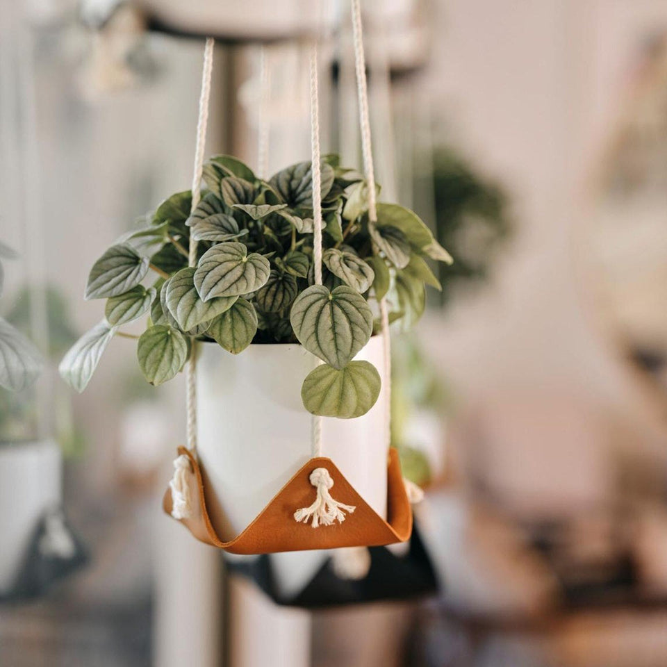 Lederen Plantenhangers | Beschikbaar in twee unieke ontwerpen!