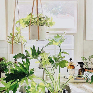 Lederen Plantenhangers | Beschikbaar in twee unieke ontwerpen!