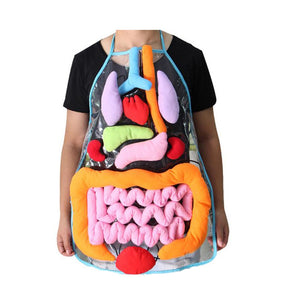 Leerzaam Anatomie Schort | Wekt een interesse in biologie!