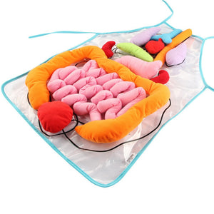 Leerzaam Anatomie Schort | Wekt een interesse in biologie!