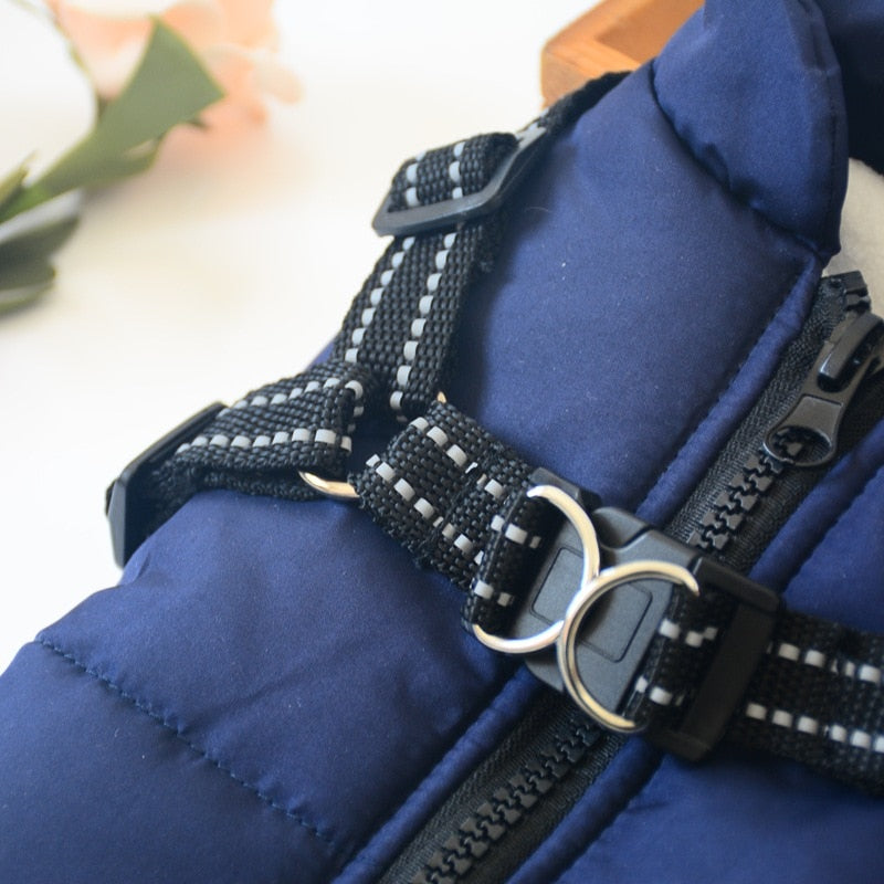 'Fashion Sports™' Hondenjas - Comfortabel naar Buiten in de Winter!