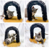 Katten Rugkrabber™ | Voor een gelukkig en actief huisdier!