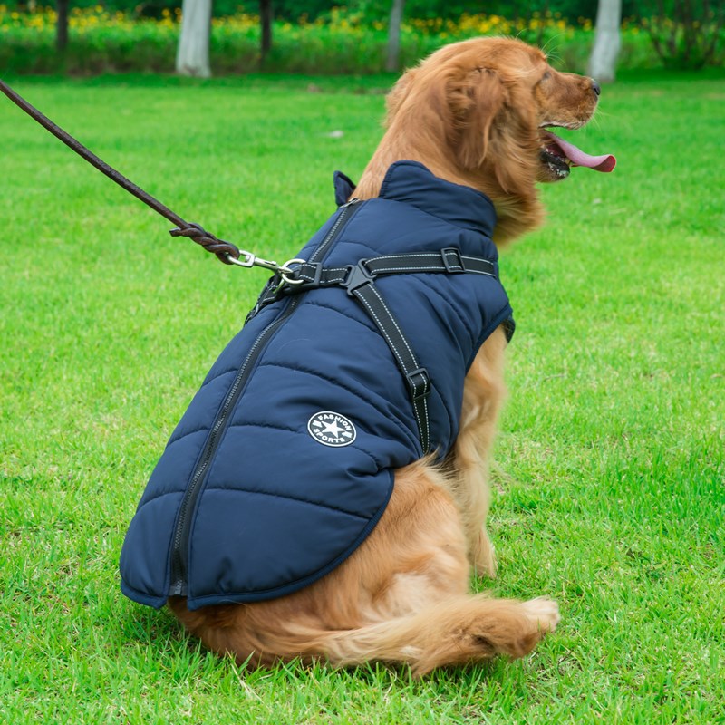 'Fashion Sports™' Hondenjas - Comfortabel naar Buiten in de Winter!