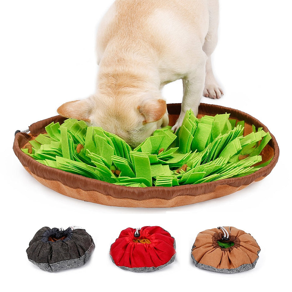 SnuffelBak™ (Perfect om Drukke Honden Rustig te Maken!)