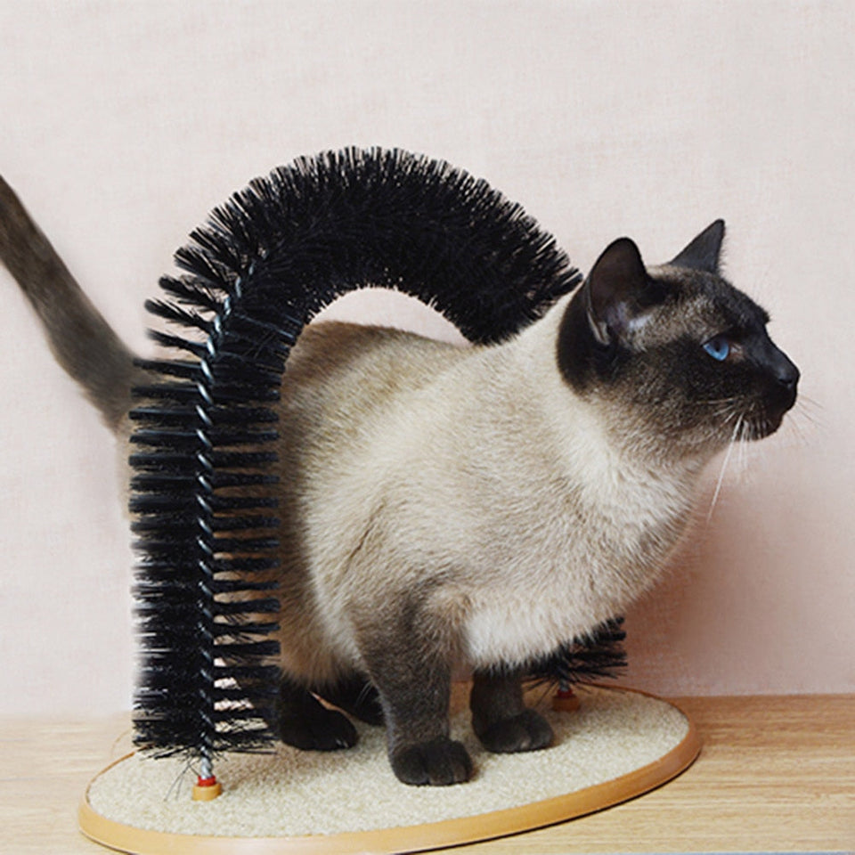 Katten Rugkrabber™ | Voor een gelukkig en actief huisdier!