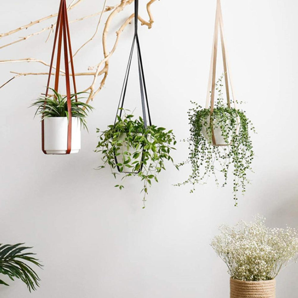 Lederen Plantenhangers | Beschikbaar in twee unieke ontwerpen!