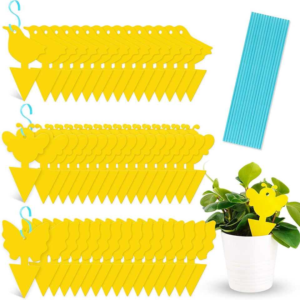 Planten Bescherming (12 Stuks!)