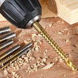 Multifunctionele Zaagbit Set 'Pro' (6 Stuks!)
