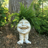 Gezicht Plantenpot