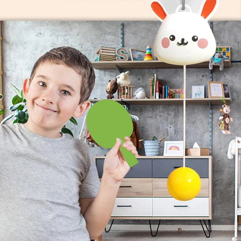 Hangende Tafeltennis Set