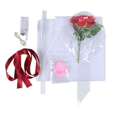 LED Ballon: Bloem Set