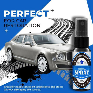 Verf Oplosser Nano Spray 'Pro'