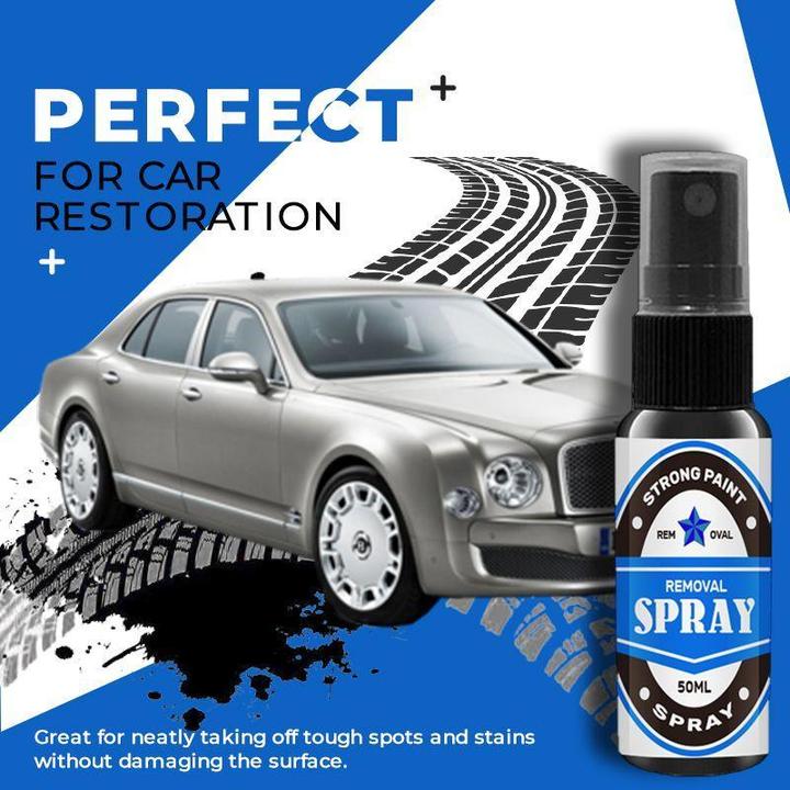 Verf Oplosser Nano Spray 'Pro'