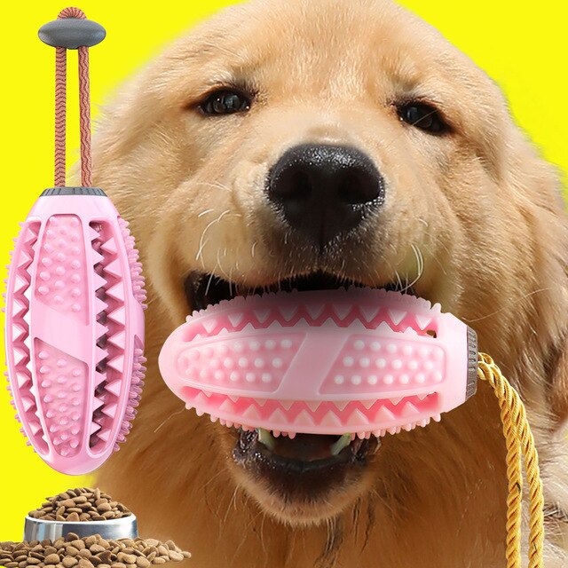 Honden Tandenborstel Speeltje