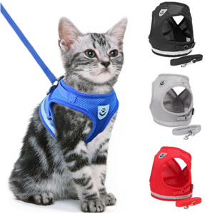 Katten Harnas (Tijdelijk 50% Korting)