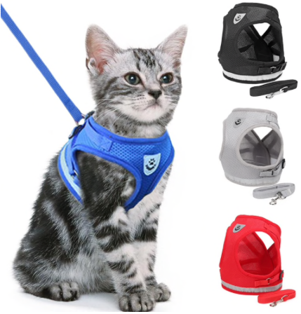 Katten Harnas (Tijdelijk 50% Korting)