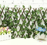 TuinScherm van Wilgenhout (Uitrekbaar tot 2 meter)