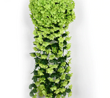 Hangende Kunstplanten