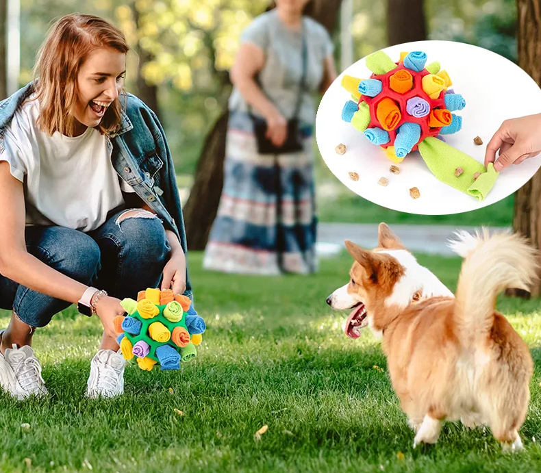 Snoepjes Houder™ | Voor Gezonde En Blije Honden!