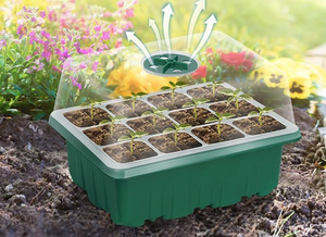 Mini Groei Kas (Voor Planten, Groenten, Fruit en meer!)