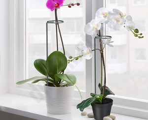 Indoor Planten Stabilisator (10 Stuks!)