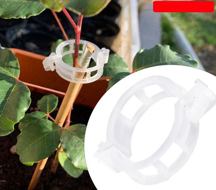 Planten Clips (50 of 100 Stuks)