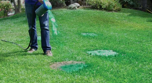 Gras Spray